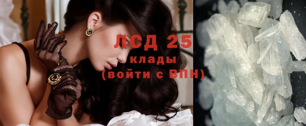 стаф Абинск