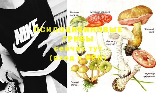 стаф Абинск
